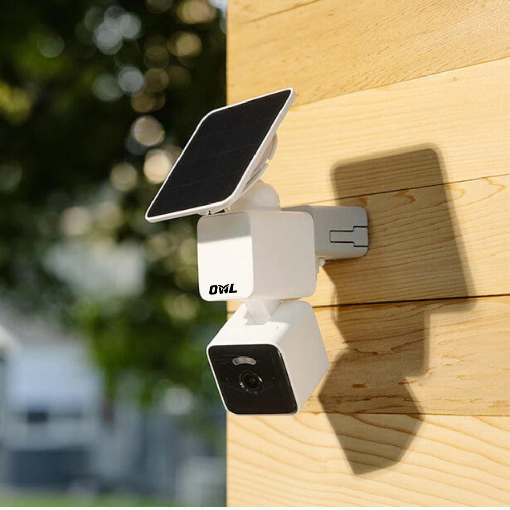 Outdoor & Indoor Cameras